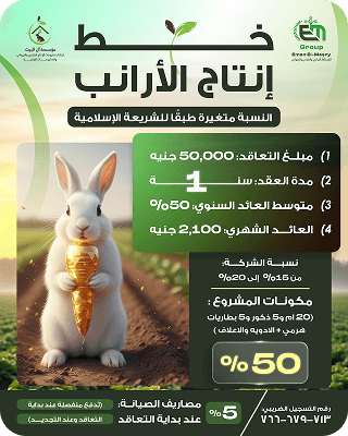 عقد 3