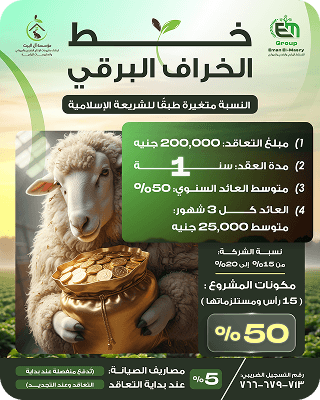 عقد 5