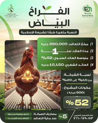 عقد 6