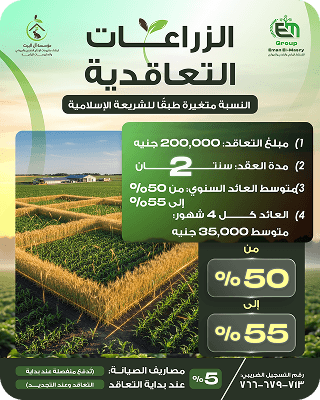 عقد 7